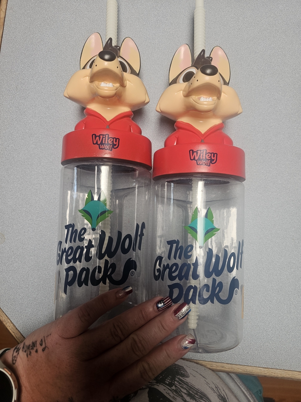 Wiley Wolf Character Water Bottle - Red & Clear